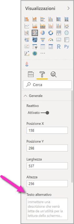 Screenshot del riquadro Visualizzazioni con la casella di testo alternativo evidenziata.