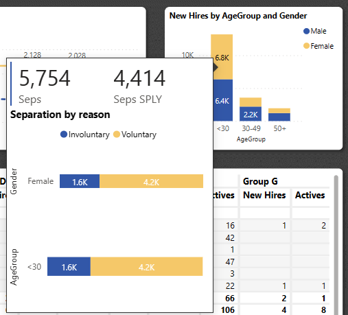 Screenshot che mostra la descrizione comando della pagina del report configurata per questo oggetto visivo.