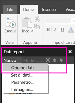 Screenshot di Nuova origine dati nel riquadro Dati report.