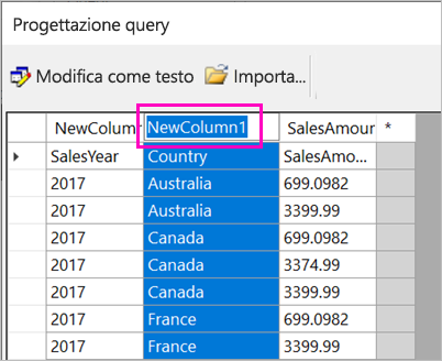 Screenshot della selezione del nome della colonna.