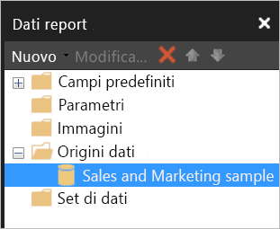 Screenshot del riquadro Dati report con il set di dati nell’elenco in Origini dati.