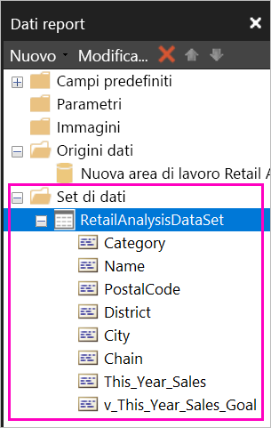 Screenshot dei campi elencati nel set di dati nel riquadro Dati report.