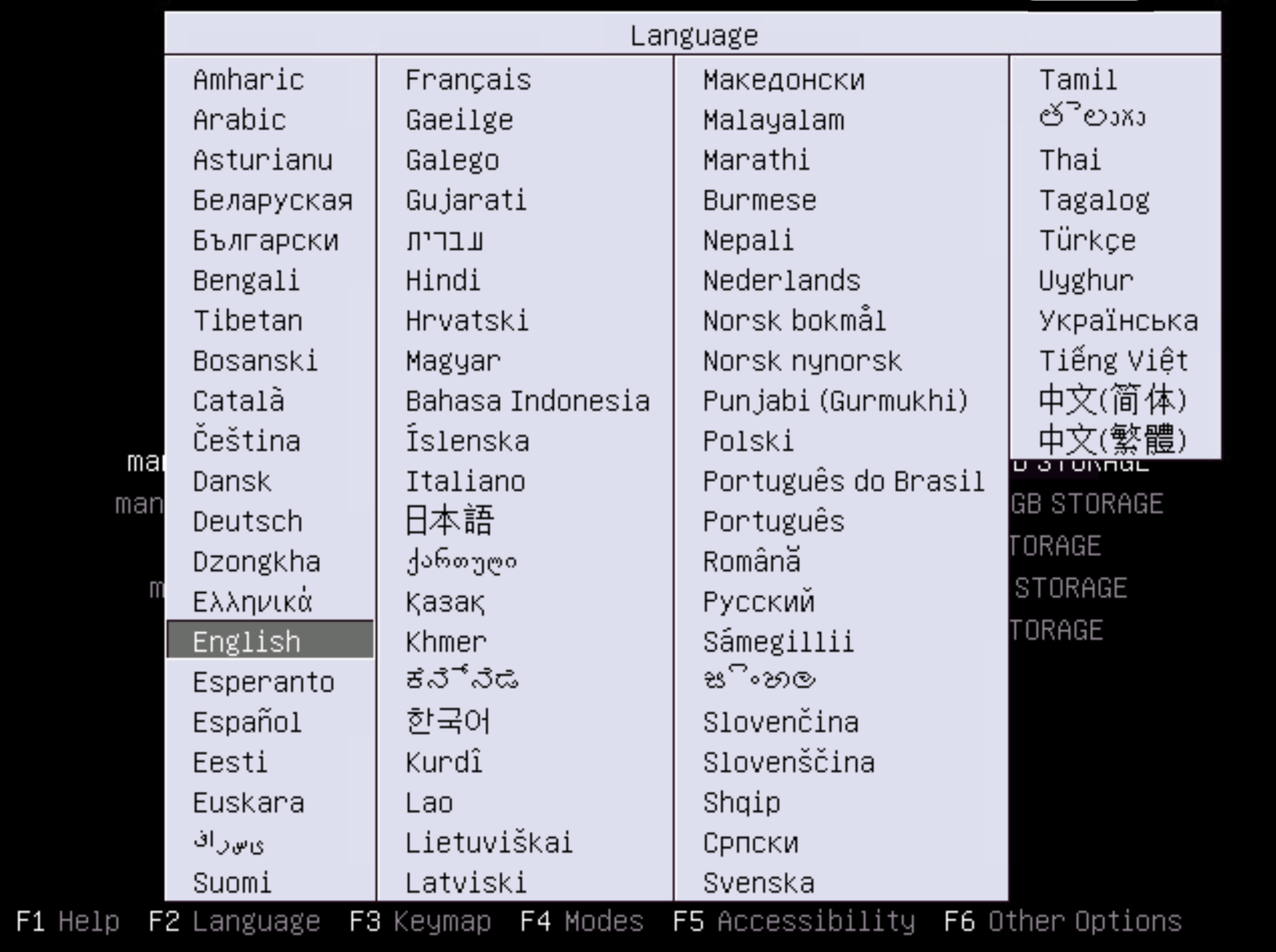 Screenshot della selezione della lingua preferita per il processo di installazione.