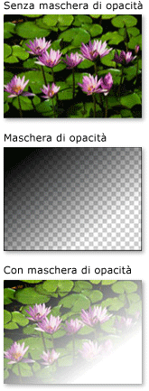 Oggetto con maschera di opacità LinearGradientBrush