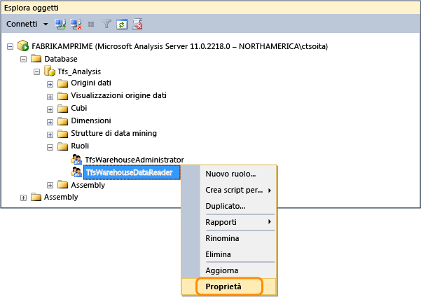Aprire le proprietà del ruolo lettore dati Tfs_Analysis