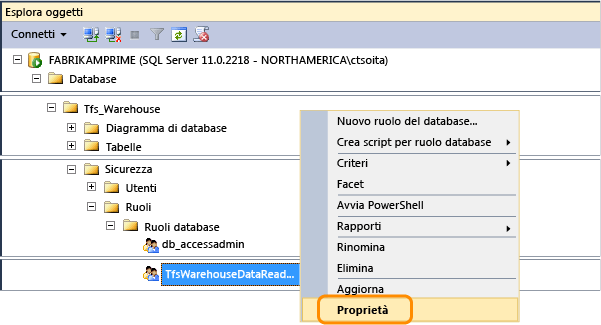 Aprire le proprietà del ruolo lettore dati Tfs_Warehouse