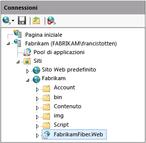 Percorso dell'app Web e del sito Web IIS