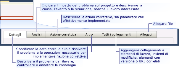 Form dell'elemento di lavoro problema CMMI - schede