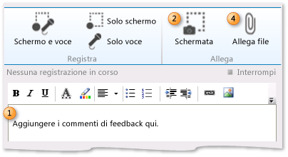 Comment rich-text box on Provide page. Screenshot icon. Attach file icon.