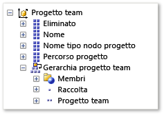 Dimensione Progetto team