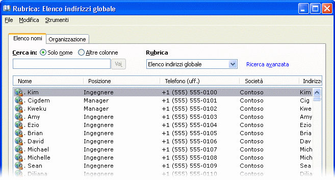 Elenchi di indirizzi visualizzati in Outlook 2007