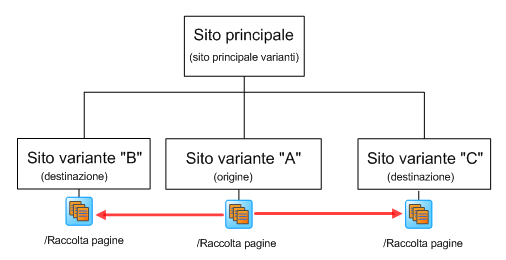 Pianificazione delle varianti del sito