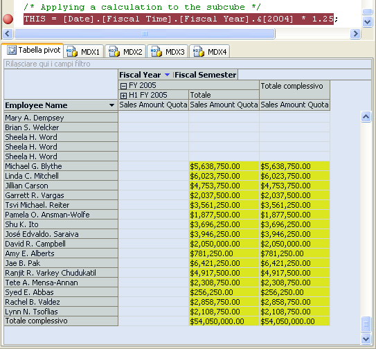 Anno fiscale 2005 visualizzato nel riquadro dei dati