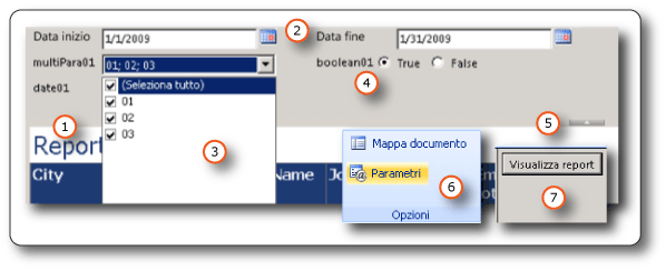 Parametri sulla barra degli strumenti del visualizzatore di report