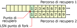 Modalità di riutilizzo dei numeri LSN in fork di recupero diversi