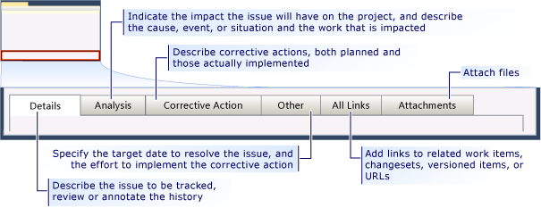 Form dell'elemento di lavoro problema CMMI - schede