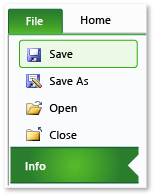 Scheda Informazioni in Excel