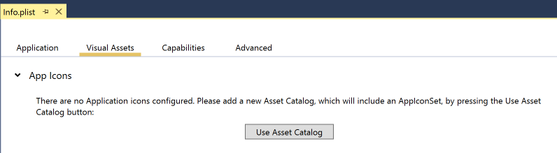 Selezionare la scheda Asset visivi