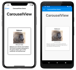 Esempio di CarouselView