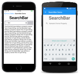 Esempio di SearchBar