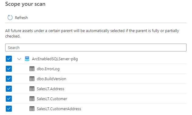 Screenshot che mostra gli asset selezionati per l'ambito di un'analisi.