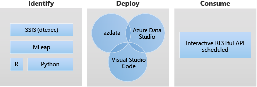 Identificare le origini (R, Python, SSIS, dtexec), distribuirle tramite la riga di comando, con Azure Data Studio o Visual Studio Code, e utilizzarle con una pianificazione API RESTful interattiva.