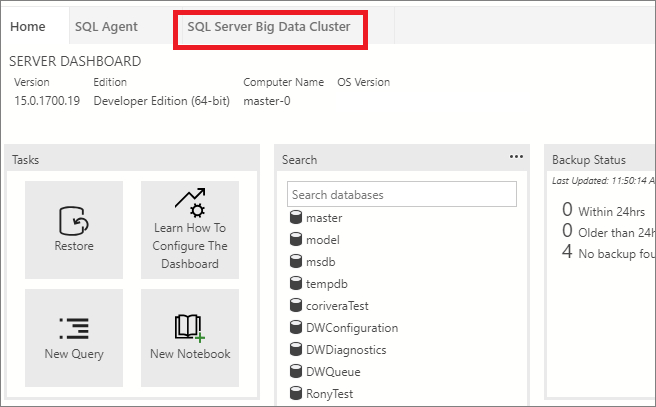 Screenshot di Azure Data Studio che mostra il dashboard del cluster Big Data.