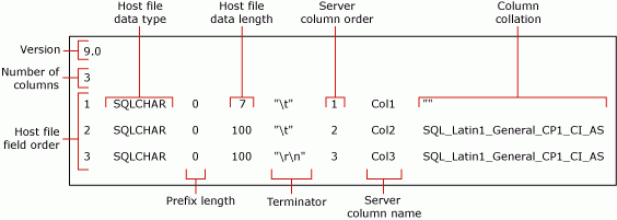 Diagramma che illustra in dettaglio il file di formato non XML predefinito per mytestskipcol.