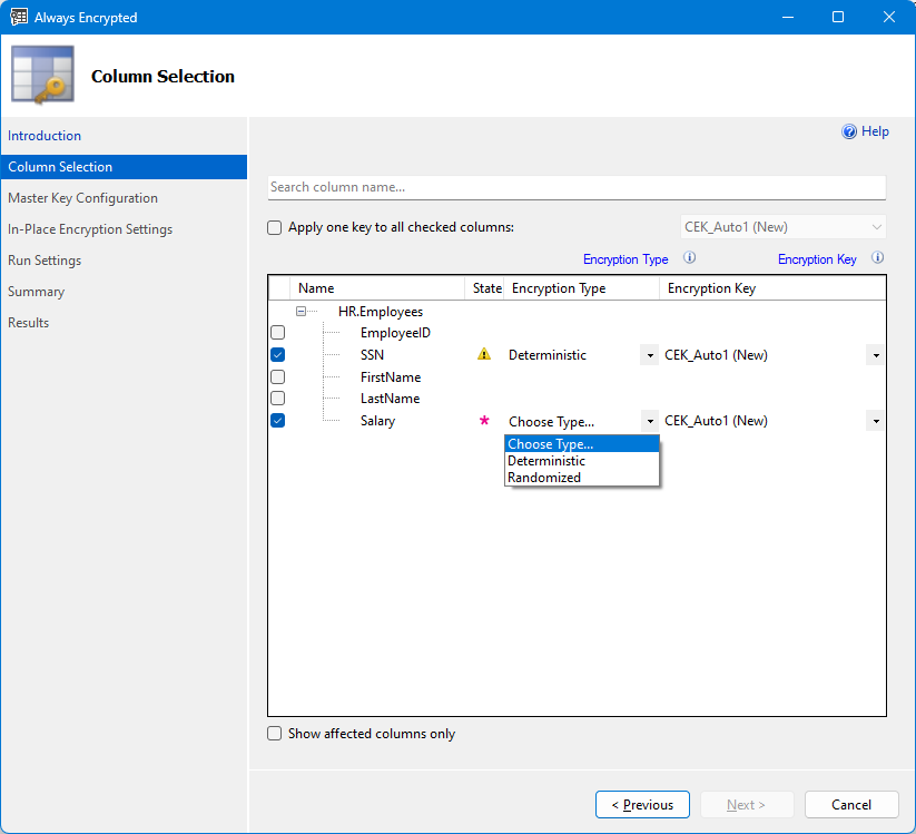 Screenshot di selezione delle colonne per la procedura guidata di Always Encrypted.