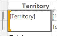 Screenshot del campo Territorio nel report di Generatore di report.