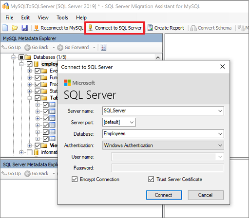 Screenshot che mostra Connect to SQL Server.