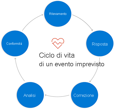 Diagramma del ciclo con le fasi descritte sopra incluse in cerchi connessi tra loro tramite frecce che indicano la sequenza