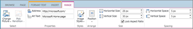 Screenshot di una sezione della barra multifunzione di SharePoint Online con la scheda Immagine selezionata e le selezioni disponibili nei gruppi Seleziona, Proprietà, Stili, Disposizione, Dimensioni e Spaziatura.