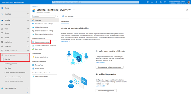 Screenshot del pannello Panoramica delle identità esterne l'opzione Attributi utente personalizzati evidenziata nel riquadro di spostamento a sinistra.