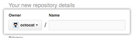 Screenshot del nome del proprietario del nuovo repository da importare.