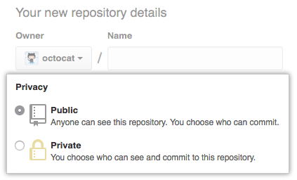 Screenshot delle opzioni Public e Private per il nuovo repository.