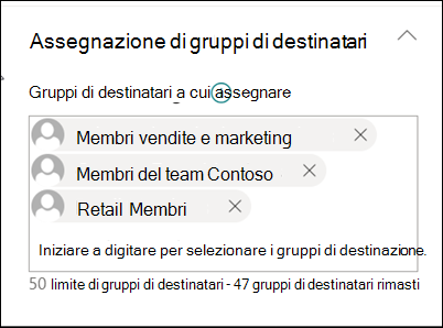 Screenshot del campo targeting del gruppo di destinatari.