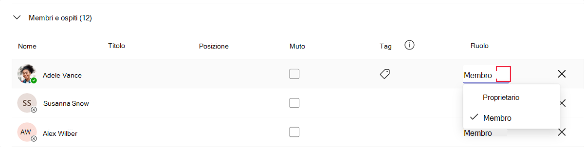 Screenshot delle impostazioni del ruolo membro in Microsoft Teams.