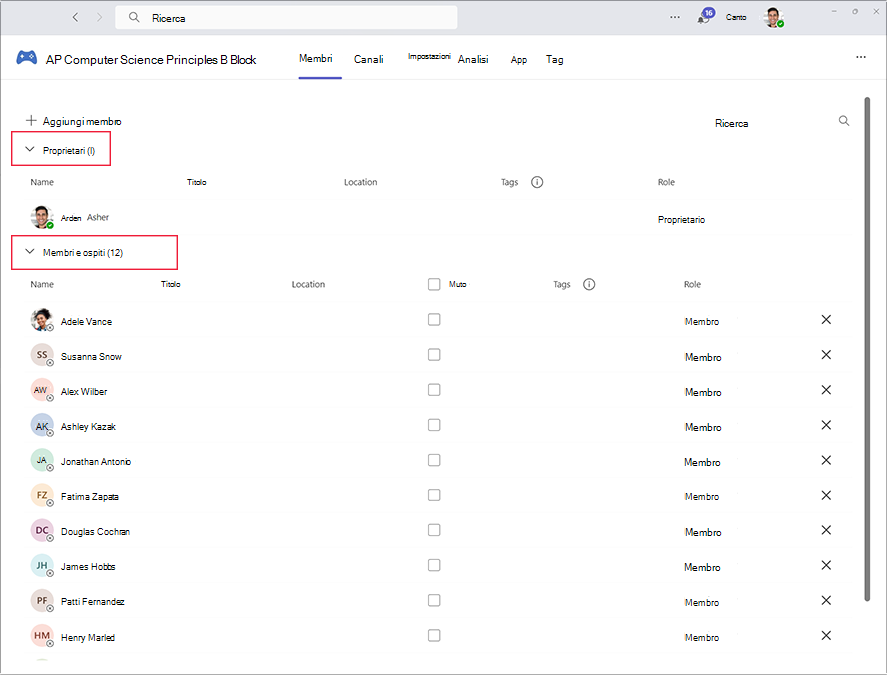 Screenshot dell'area per gestire proprietari e membri in Microsoft Teams.