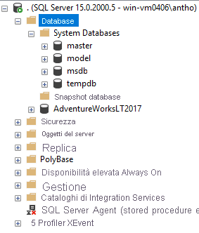 Screenshot che mostra l'aspetto di una distribuzione di SQL Server 2019 in SSMS.