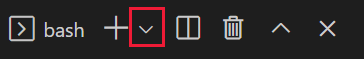 Screenshot della finestra del terminale di Visual Studio Code con bash nel menu a discesa.
