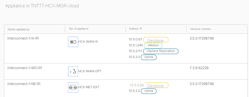 Screenshot of interconnect appliances that were deployed to Azure VMware Solution by enabling the service mesh.