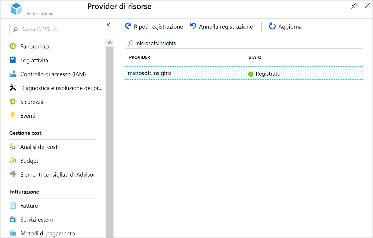 Screenshot showing the registered Microsoft.Insights provider.