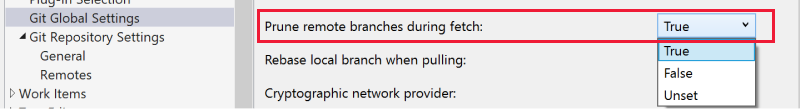 Screenshot che mostra l'opzione 'Prune remote branch during fetch' evidenziata e con 'True' selezionata nell'elenco a discesa.