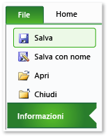 Scheda Informazioni in Excel