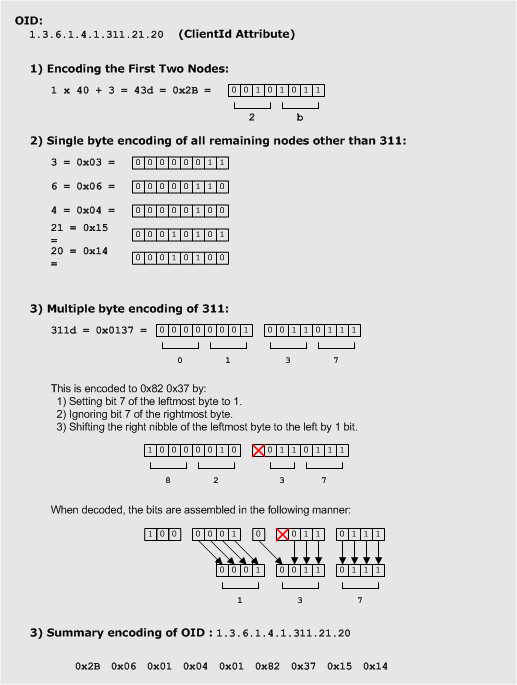 der codifica del tipo di dati dell'identificatore dell'oggetto