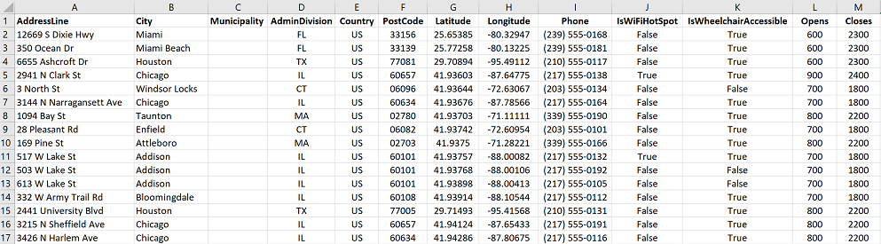 Excel ブック形式のストア ロケーター データのスクリーンショット。