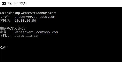 パブリック IP についての cmd での nslookup のスクリーンショット。