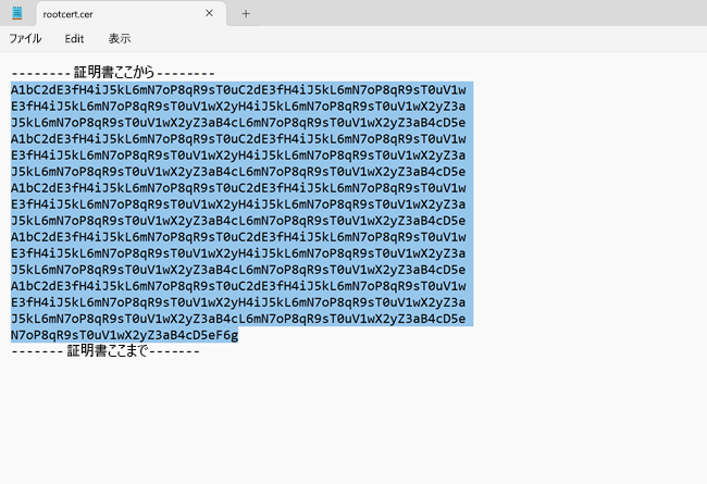 証明書のデータのスクリーンショット。