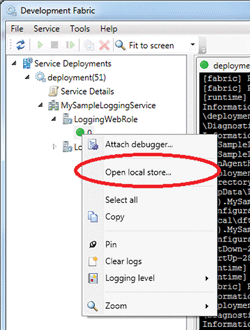 ローカルの開発ファブリックのストレージに保存されたログを開く